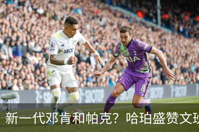 新一代邓肯和帕克？哈珀盛赞文班：方方面面，他都是最出色的领袖
